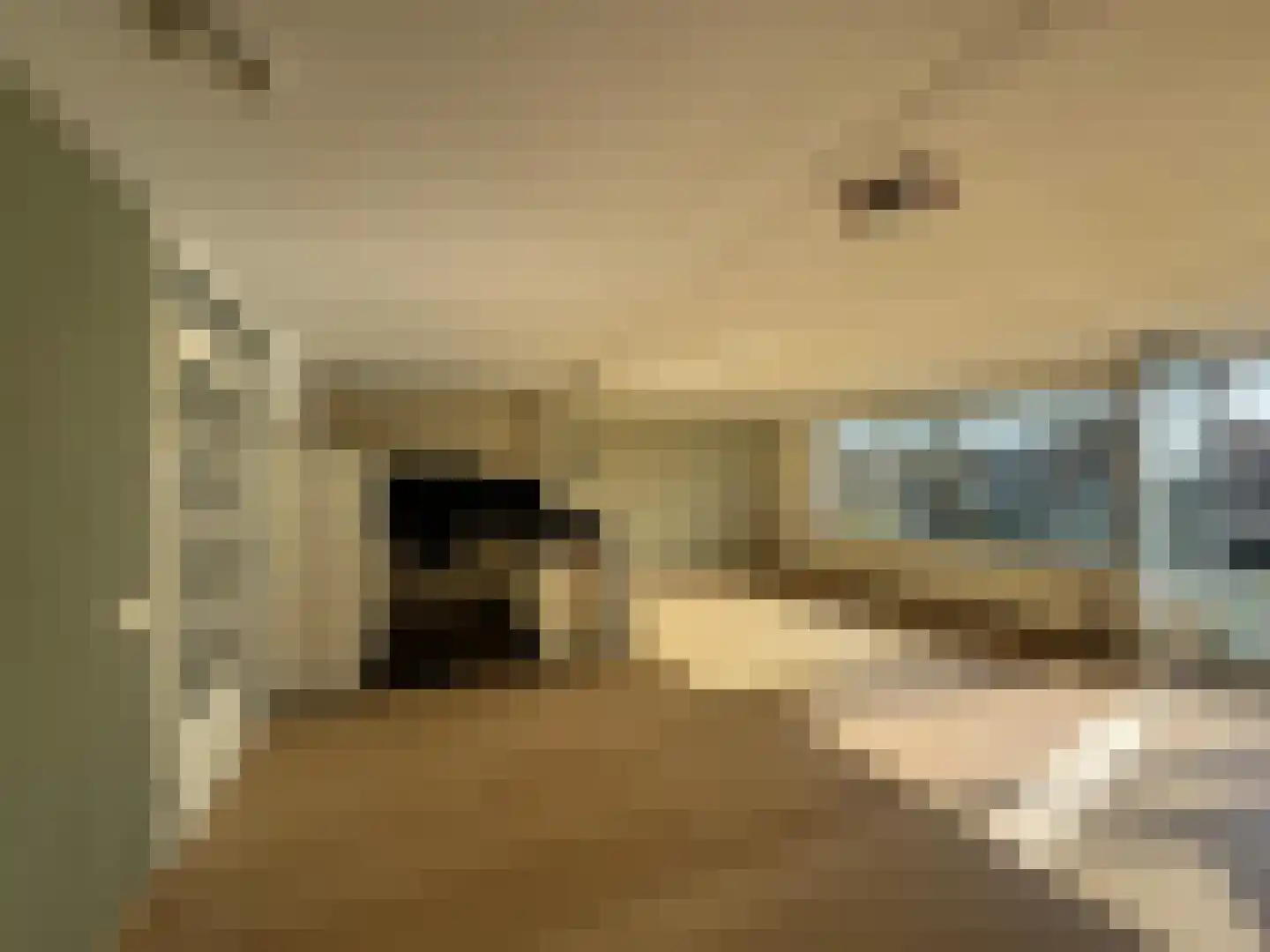 dr. Buijzestraat 40 Terneuzen thumbnail 6