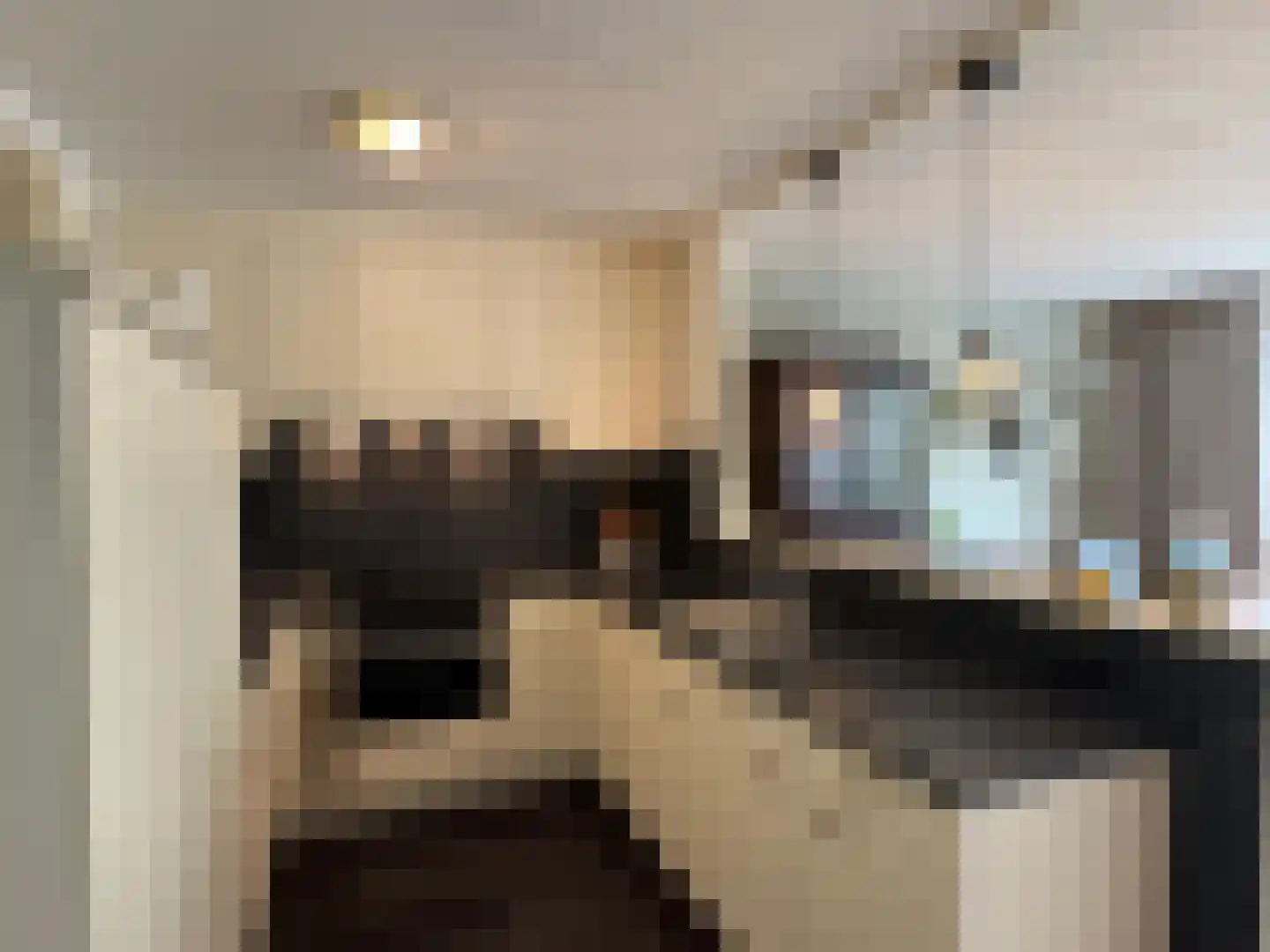 dr. Buijzestraat 40 Terneuzen thumbnail 8