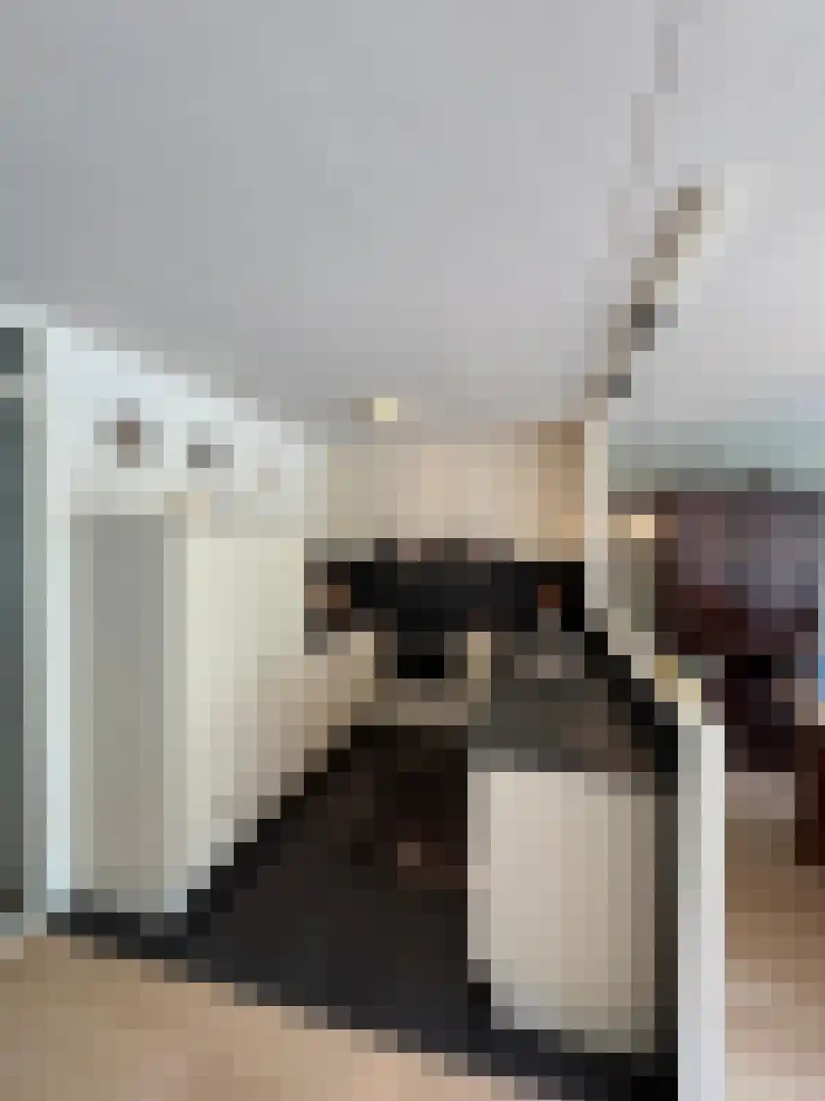 dr. Buijzestraat 40 Terneuzen thumbnail 9