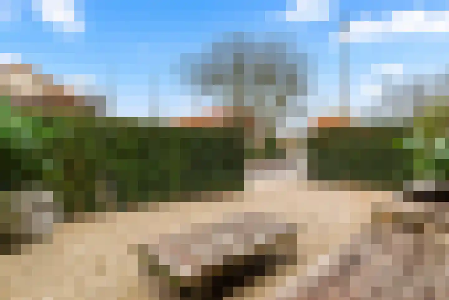 Dr C A Gerkestraat 107 Zandvoort thumbnail 52