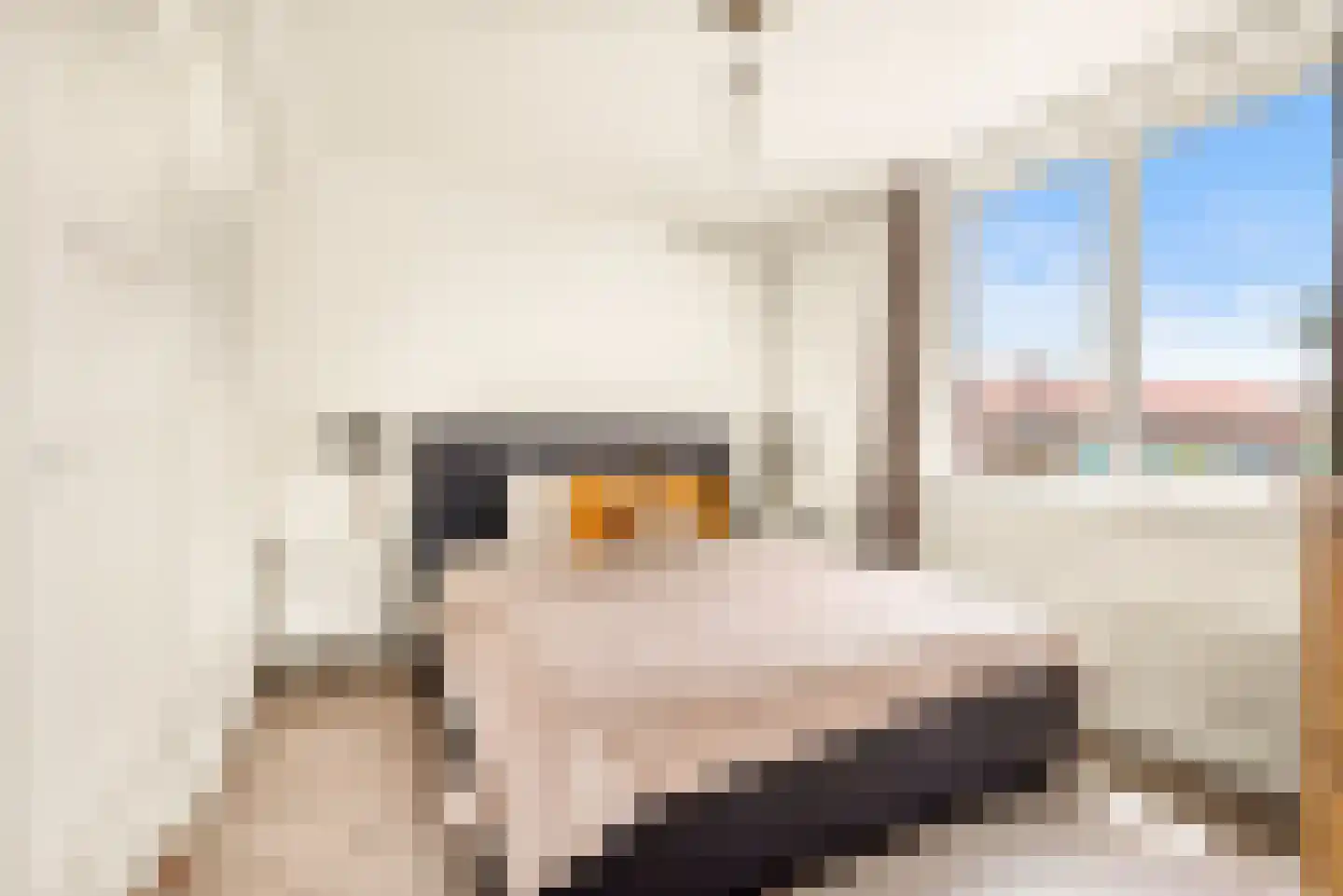 Dr C A Gerkestraat 131 Zandvoort thumbnail 32