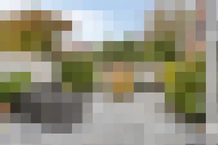 Dr C A Gerkestraat 141 Zandvoort thumbnail 34