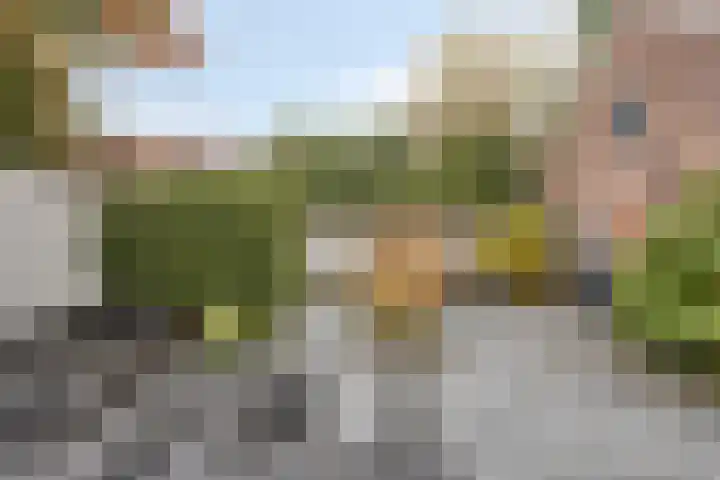 Dr C A Gerkestraat 141 Zandvoort thumbnail 35
