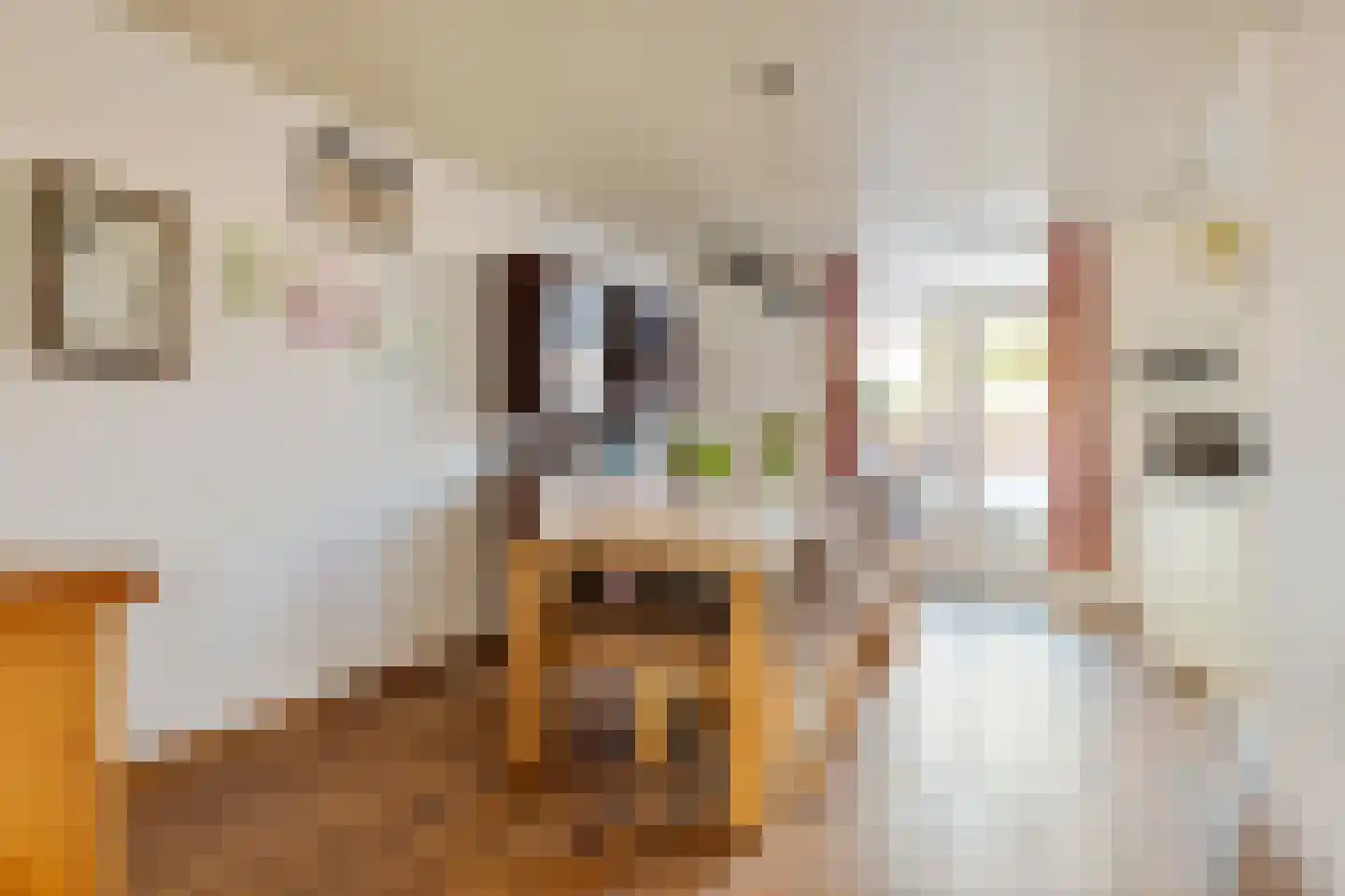Dr C A Gerkestraat 151 Zandvoort thumbnail 9