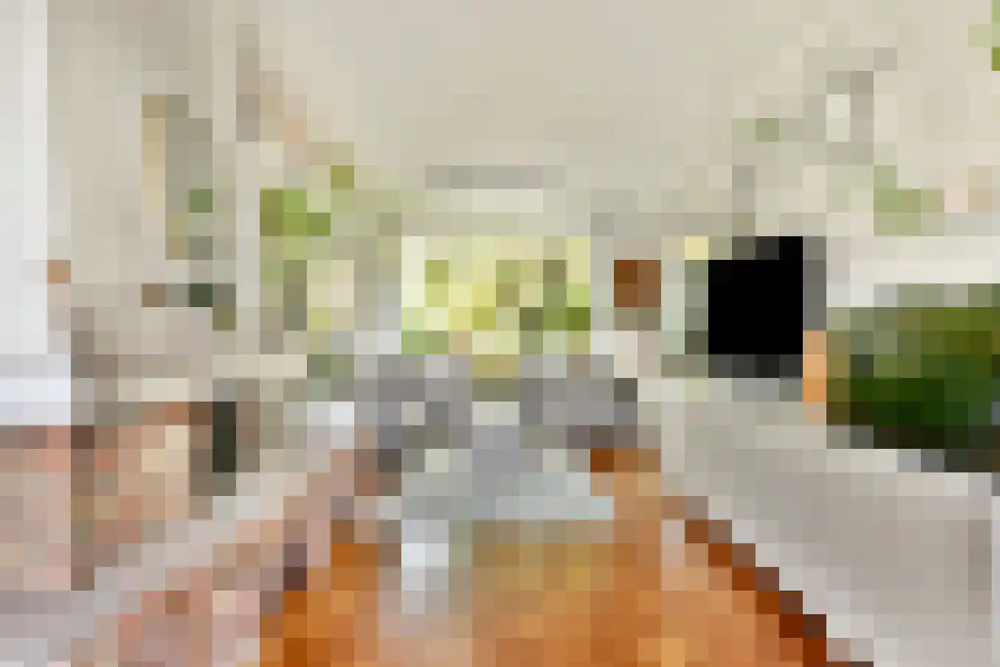Dr C A Gerkestraat 47 rd Zandvoort thumbnail 10