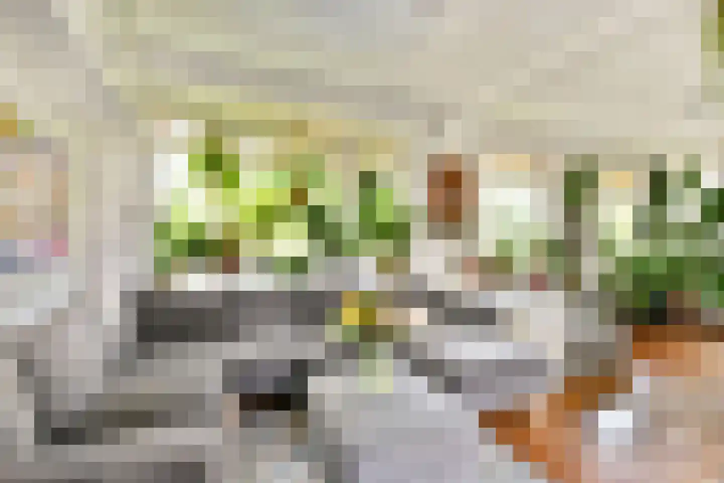 Dr C A Gerkestraat 47 rd Zandvoort thumbnail 11