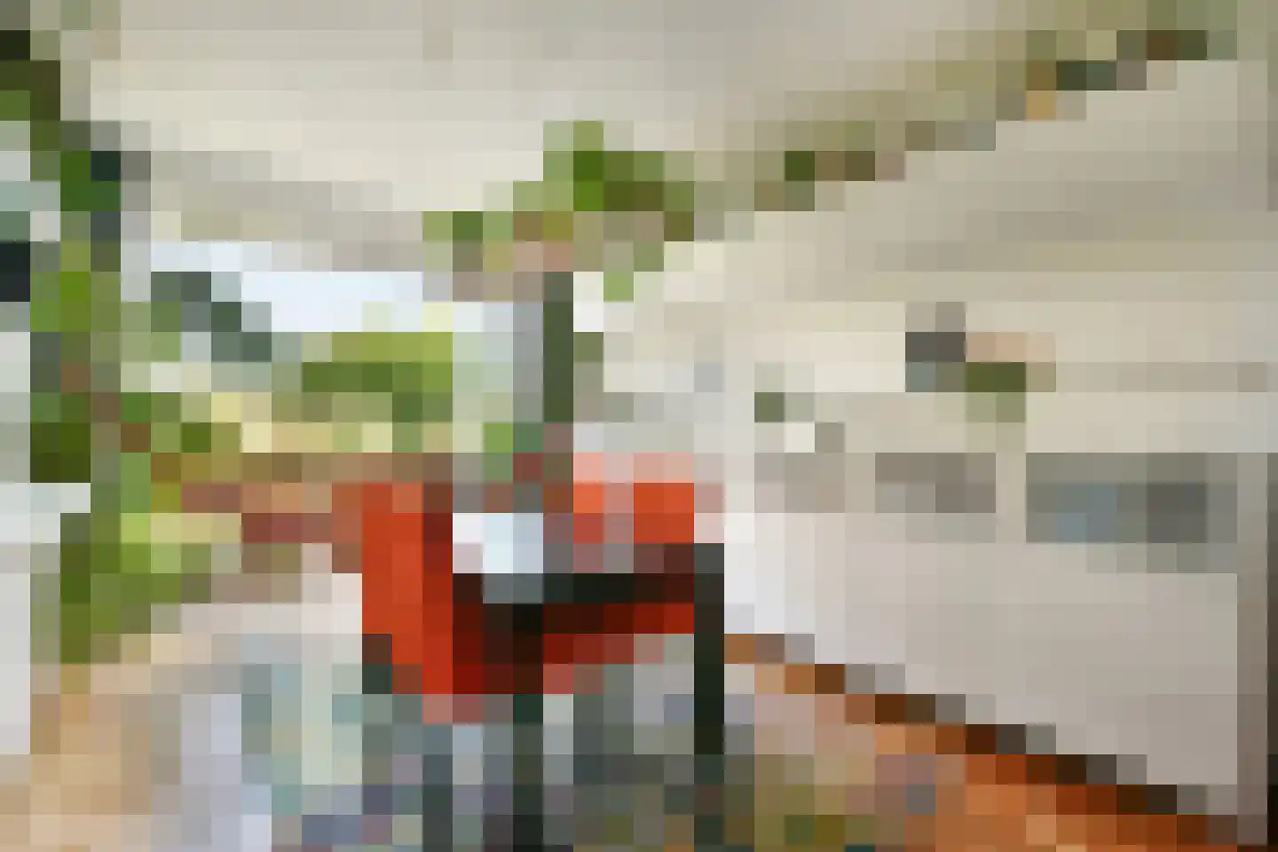 Dr C A Gerkestraat 47 rd Zandvoort thumbnail 13
