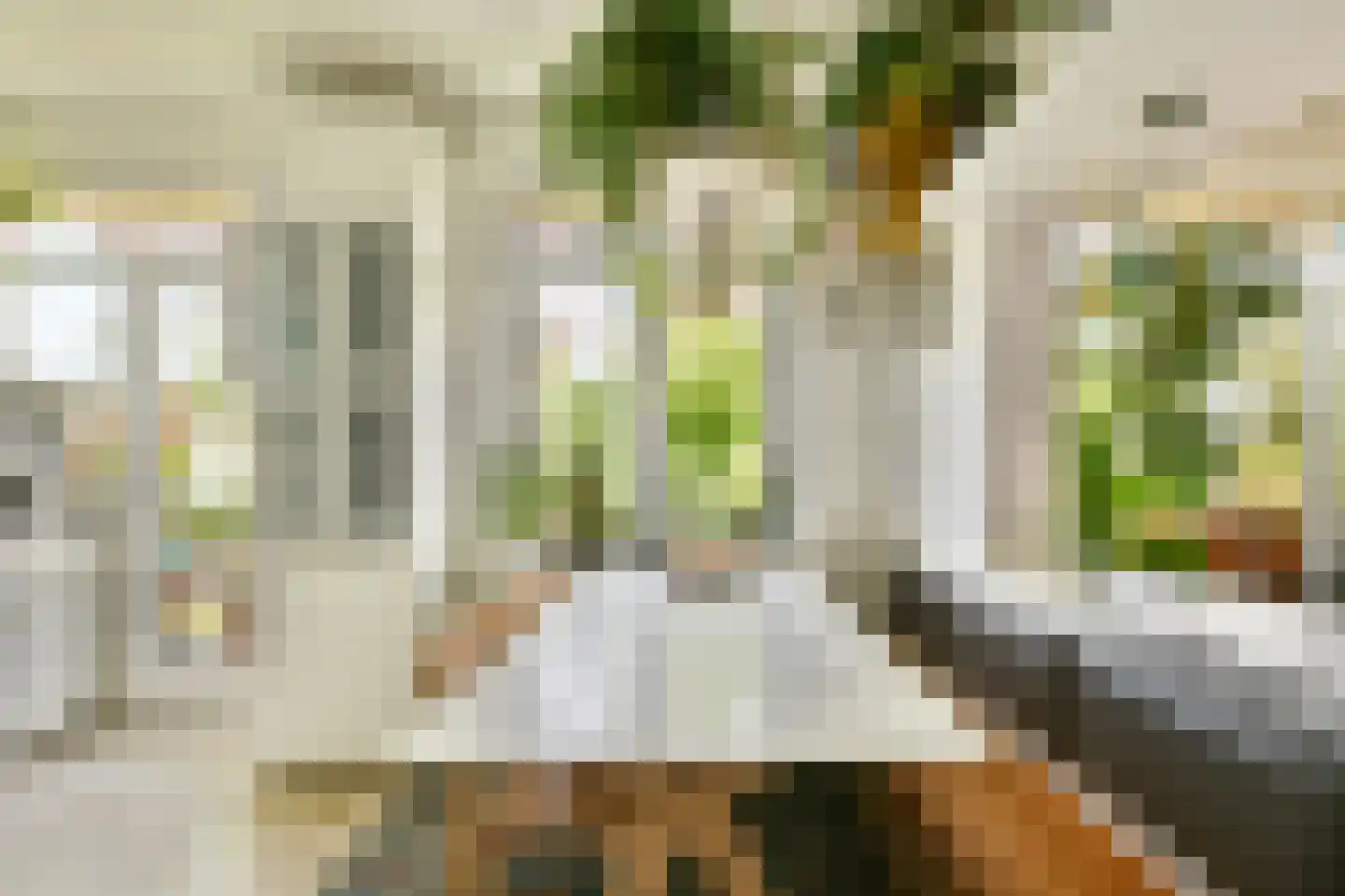Dr C A Gerkestraat 47 rd Zandvoort thumbnail 19