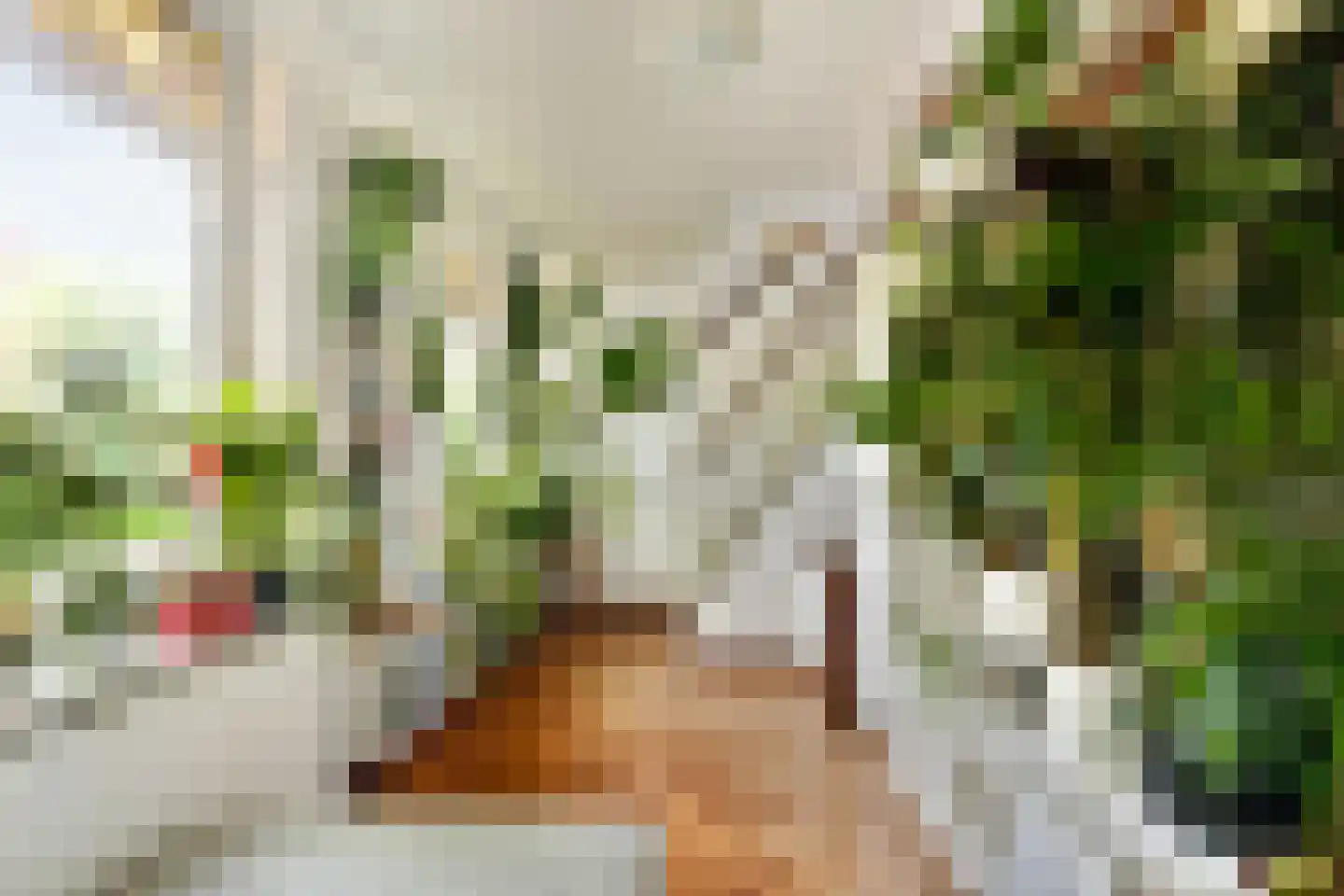 Dr C A Gerkestraat 47 rd Zandvoort thumbnail 25