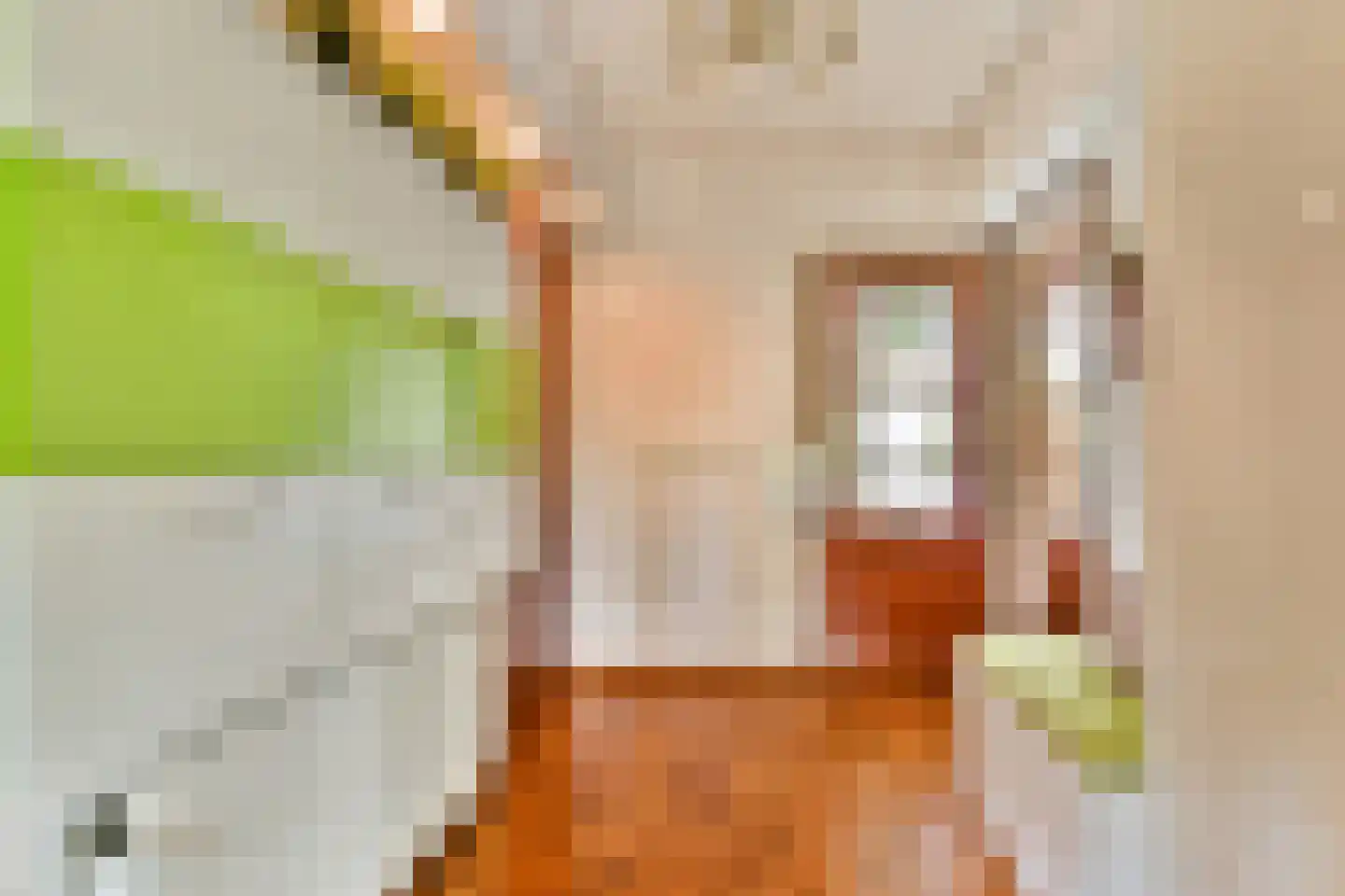 Dr C A Gerkestraat 47 rd Zandvoort thumbnail 6
