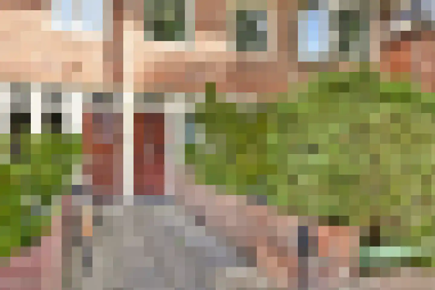 Dr C A Gerkestraat 47 rd Zandvoort thumbnail 7
