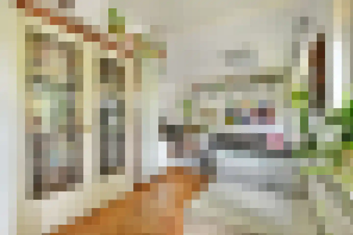 Dr C A Gerkestraat 47 rd Zandvoort thumbnail 9