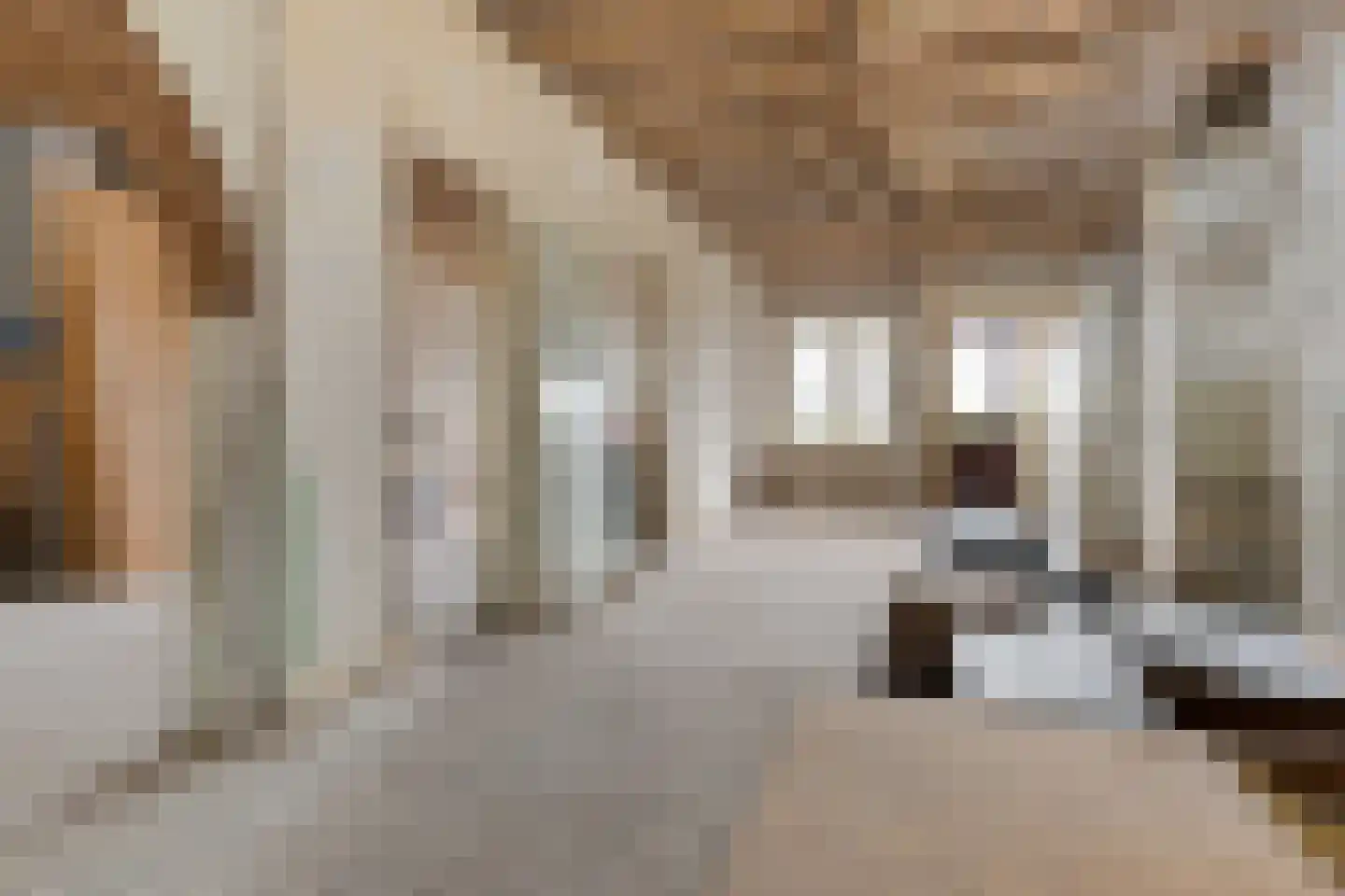 Dr C A Gerkestraat 95 rd Zandvoort thumbnail 9