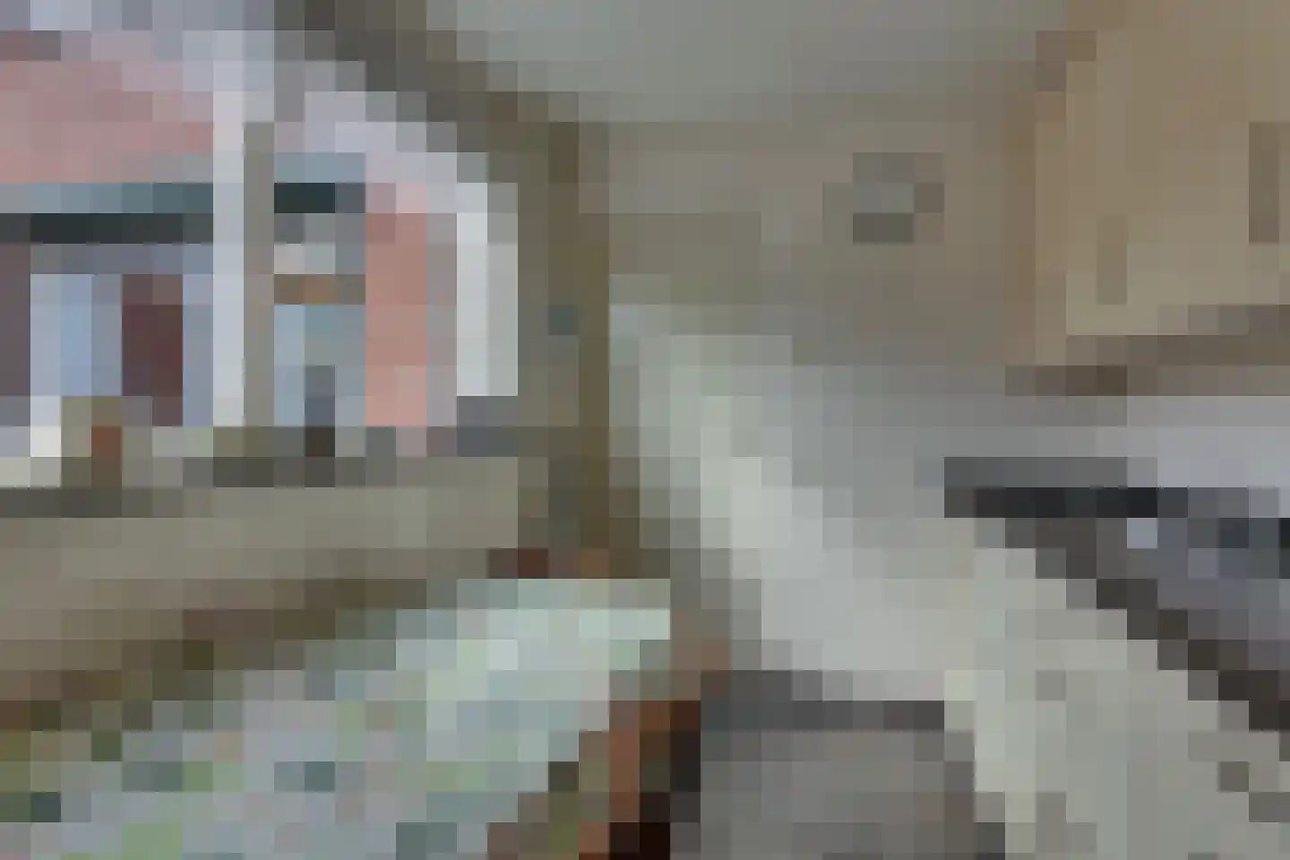 Dr. C.A.J. Quantstraat 30 Diepenheim thumbnail 11