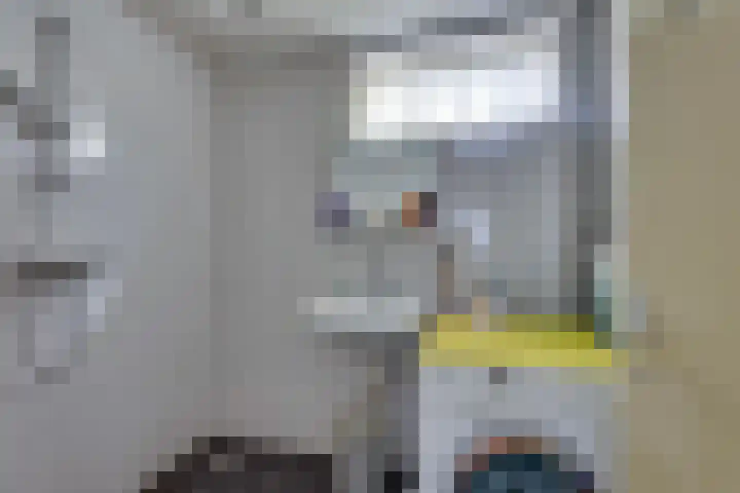 Dr. C.A.J. Quantstraat 30 Diepenheim thumbnail 23