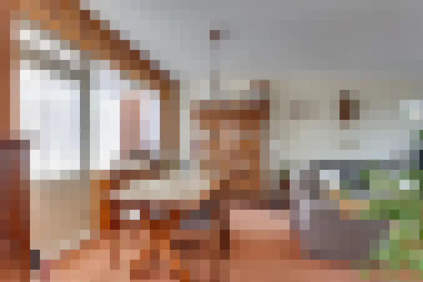 Dr. C.A.J. Quantstraat 30 Diepenheim thumbnail 7