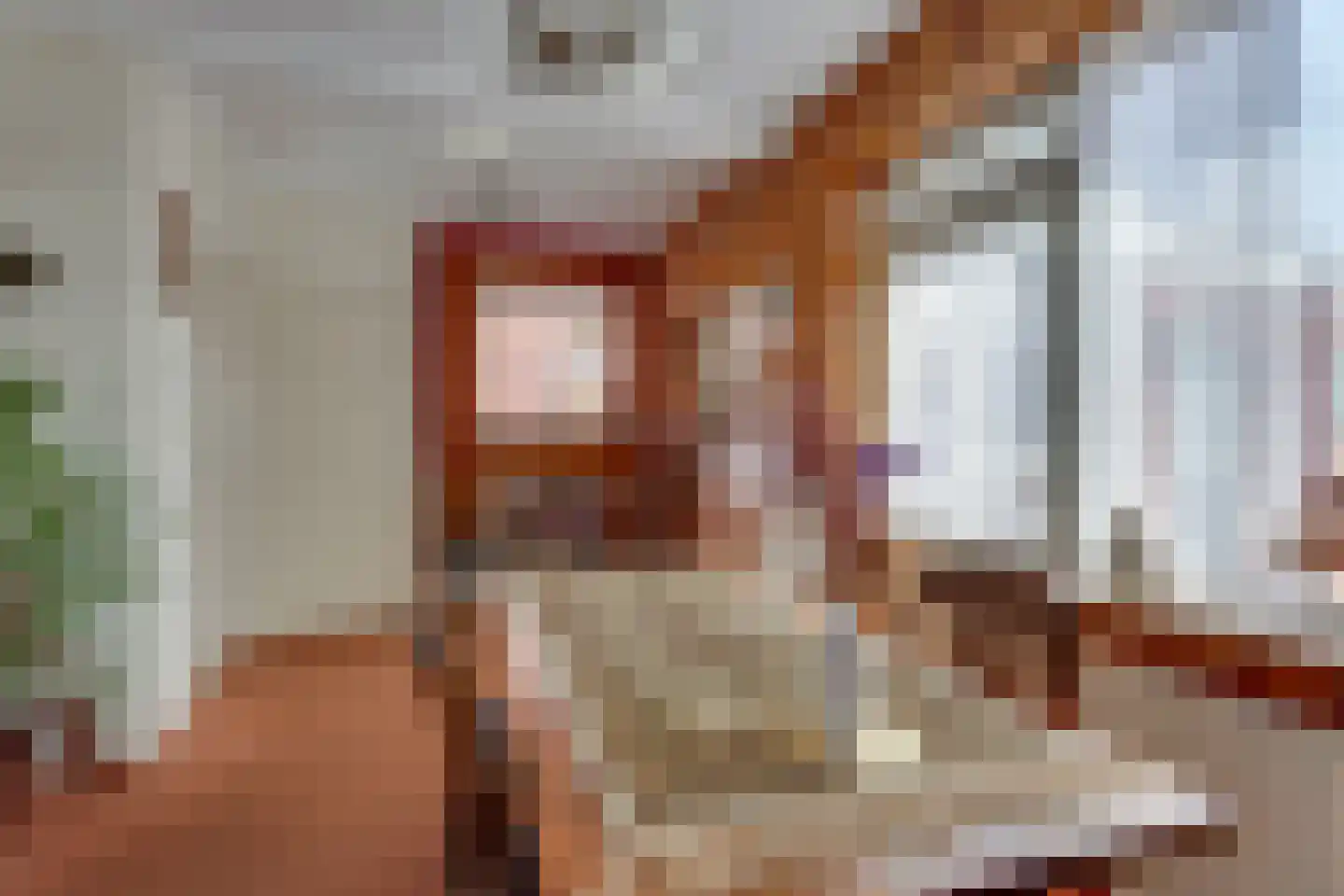 Dr. C.A.J. Quantstraat 30 Diepenheim thumbnail 8