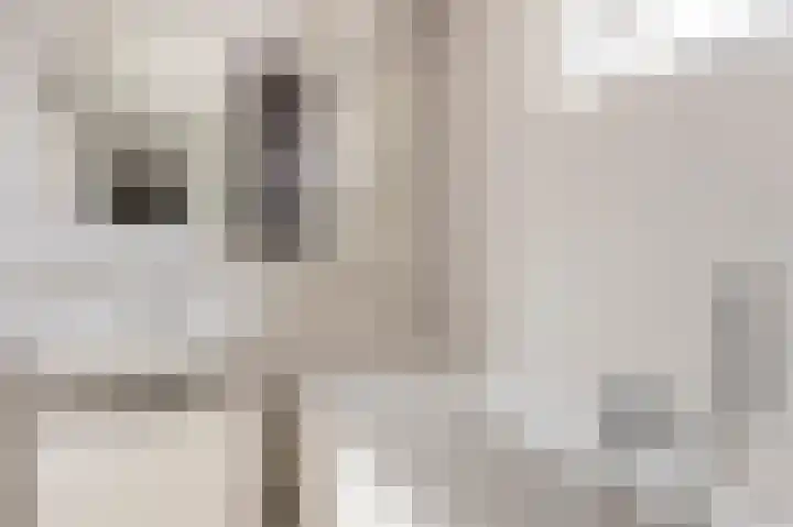 Dr. C.A.J. Quantstraat 49 Diepenheim thumbnail 18