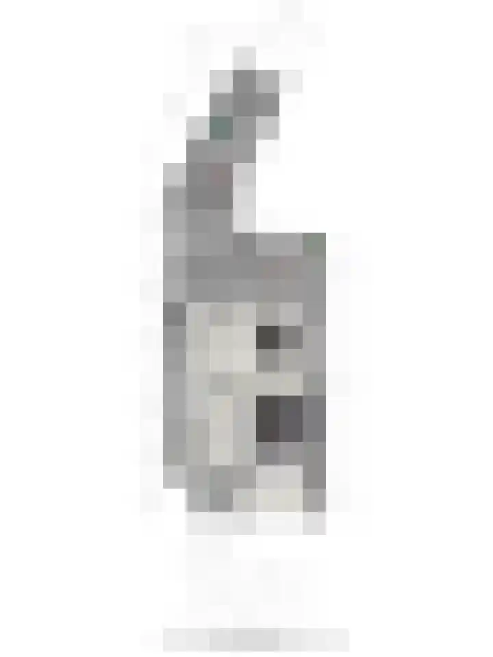 Dr. C.A.J. Quantstraat 49 Diepenheim thumbnail 31