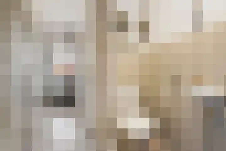 Dr. C.A.J. Quantstraat 49 Diepenheim thumbnail 6