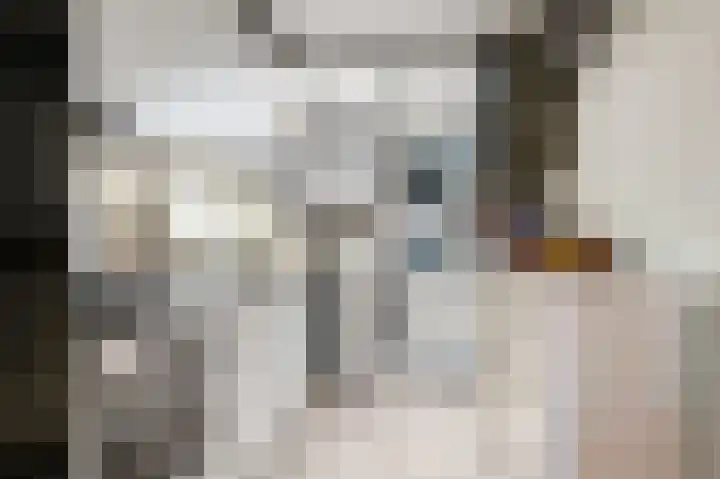 Dr. C.A.J. Quantstraat 49 Diepenheim thumbnail 8