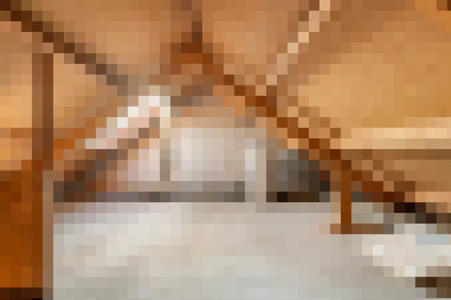 Dr. C.A.J. Quantstraat 7 Diepenheim thumbnail 24