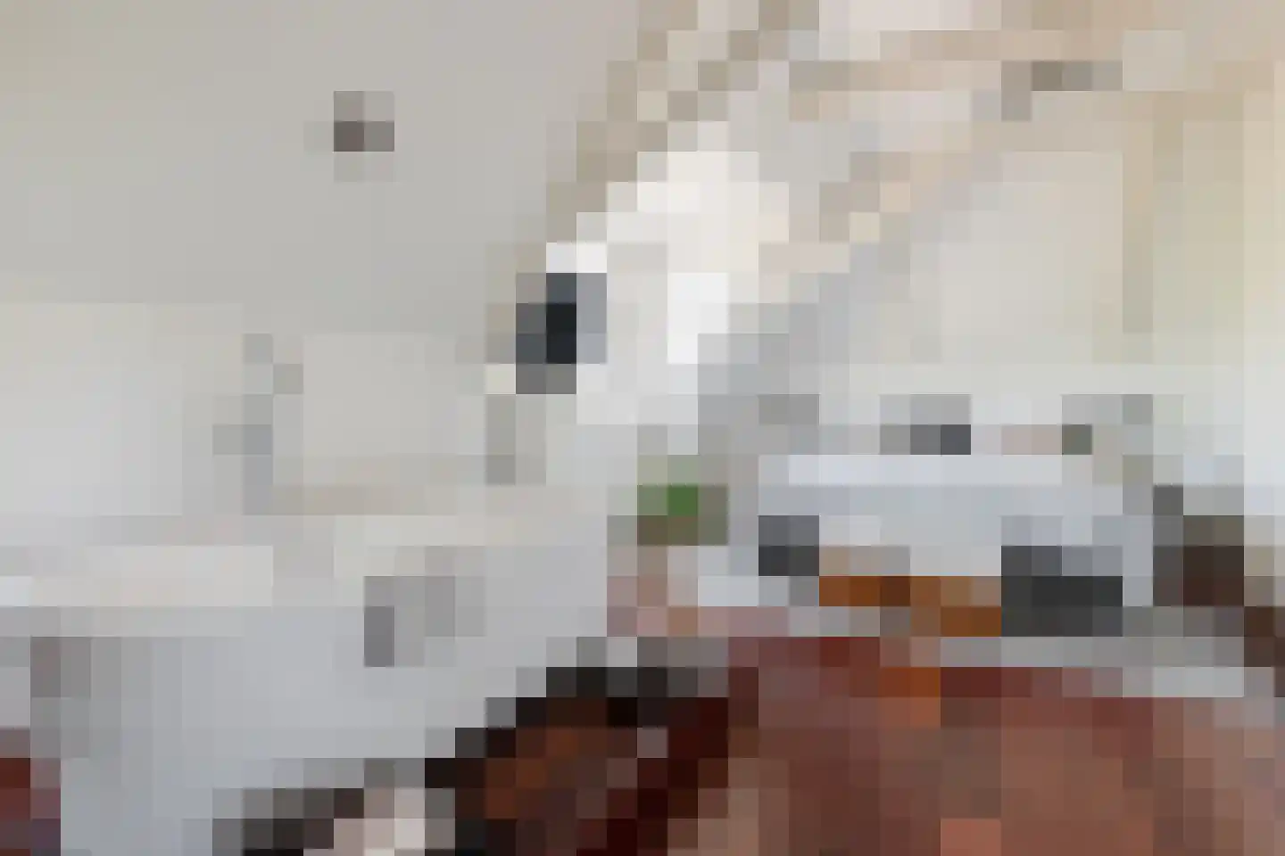 Dr. C. Hofstede de Grootkade 1 a Groningen thumbnail 10