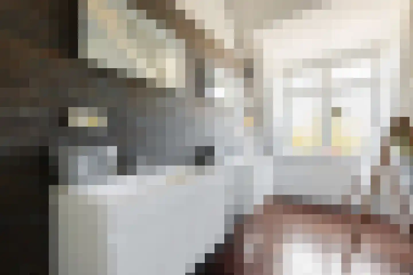 Dr. C. Hofstede de Grootkade 1 a Groningen thumbnail 11