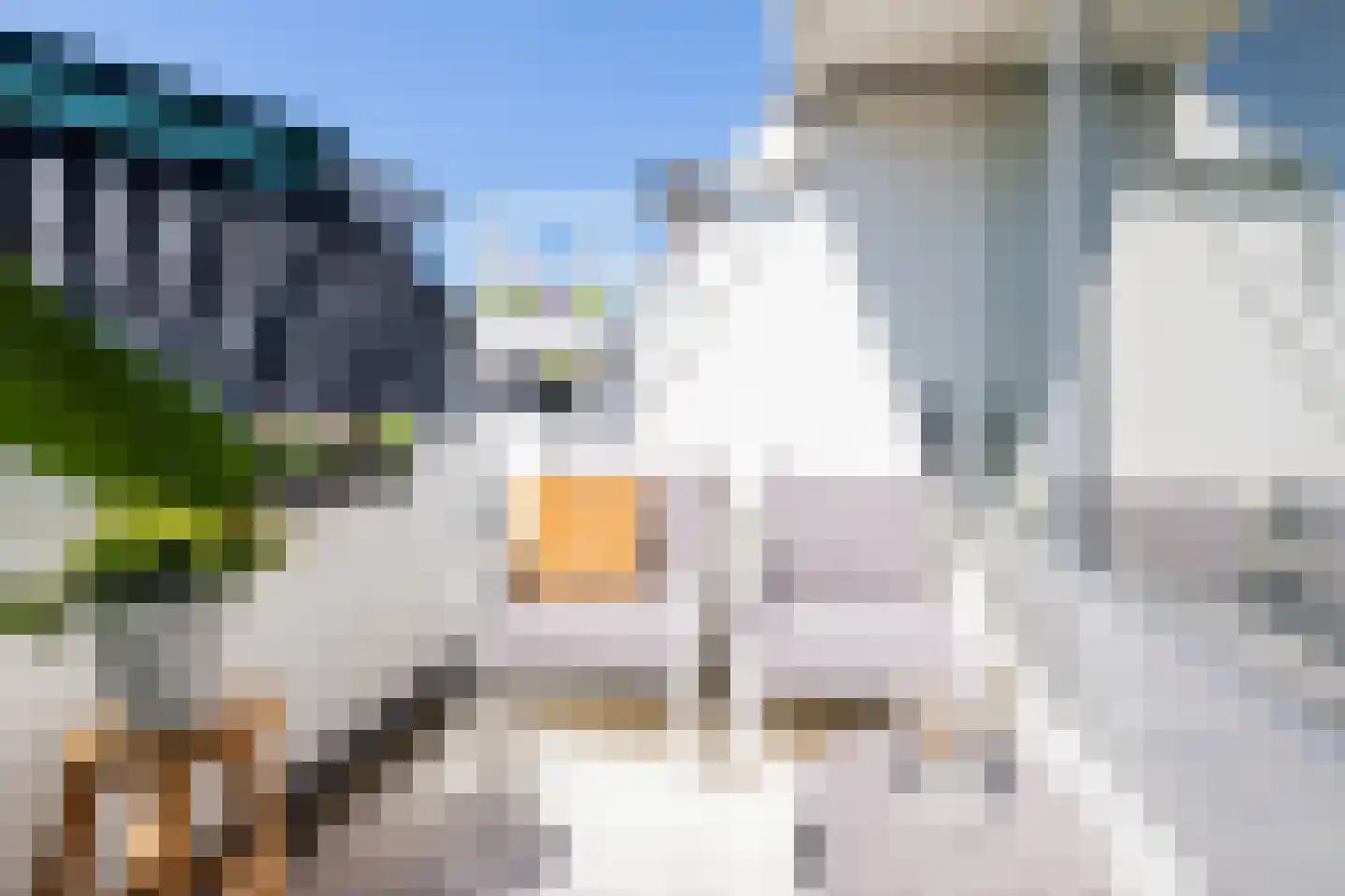 Dr. C. Hofstede de Grootkade 1 a Groningen thumbnail 12