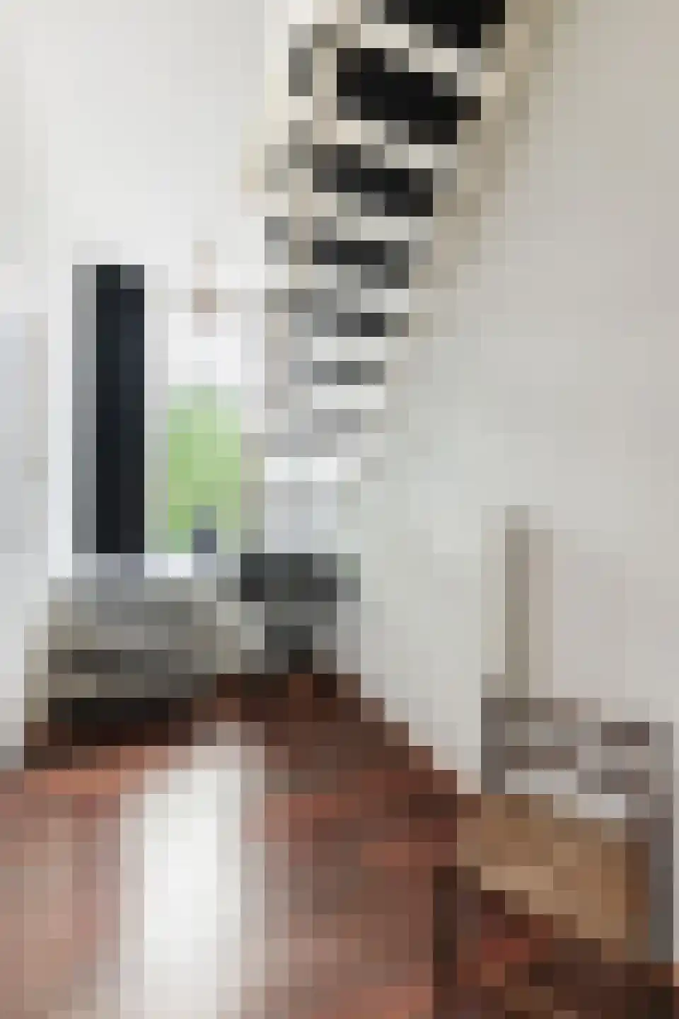 Dr. C. Hofstede de Grootkade 1 a Groningen thumbnail 21