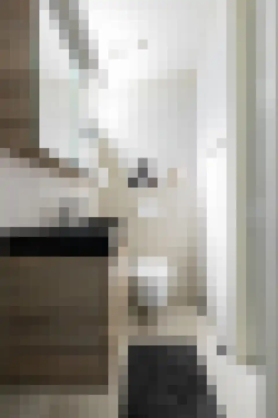 Dr. C. Hofstede de Grootkade 1 a Groningen thumbnail 22