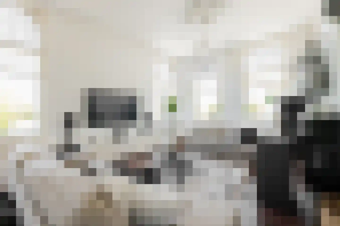 Dr. C. Hofstede de Grootkade 1 a Groningen thumbnail 24