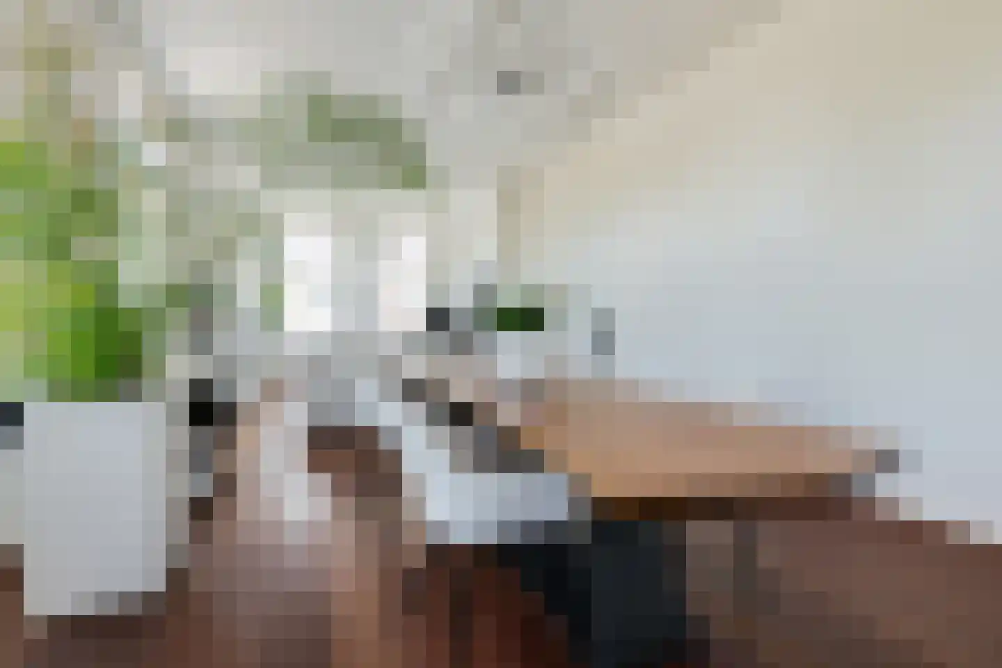 Dr. C. Hofstede de Grootkade 1 a Groningen thumbnail 29