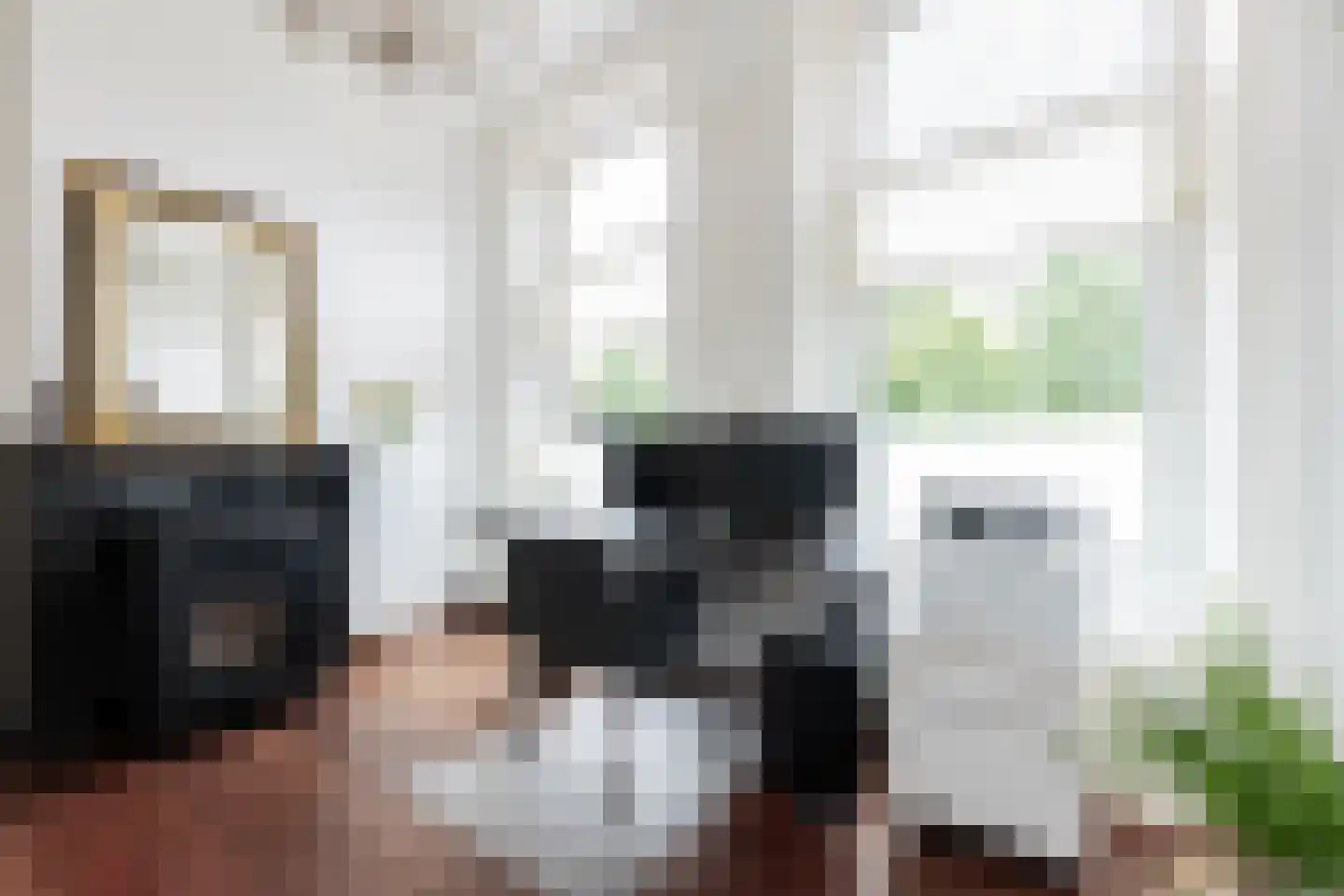 Dr. C. Hofstede de Grootkade 1 a Groningen thumbnail 33