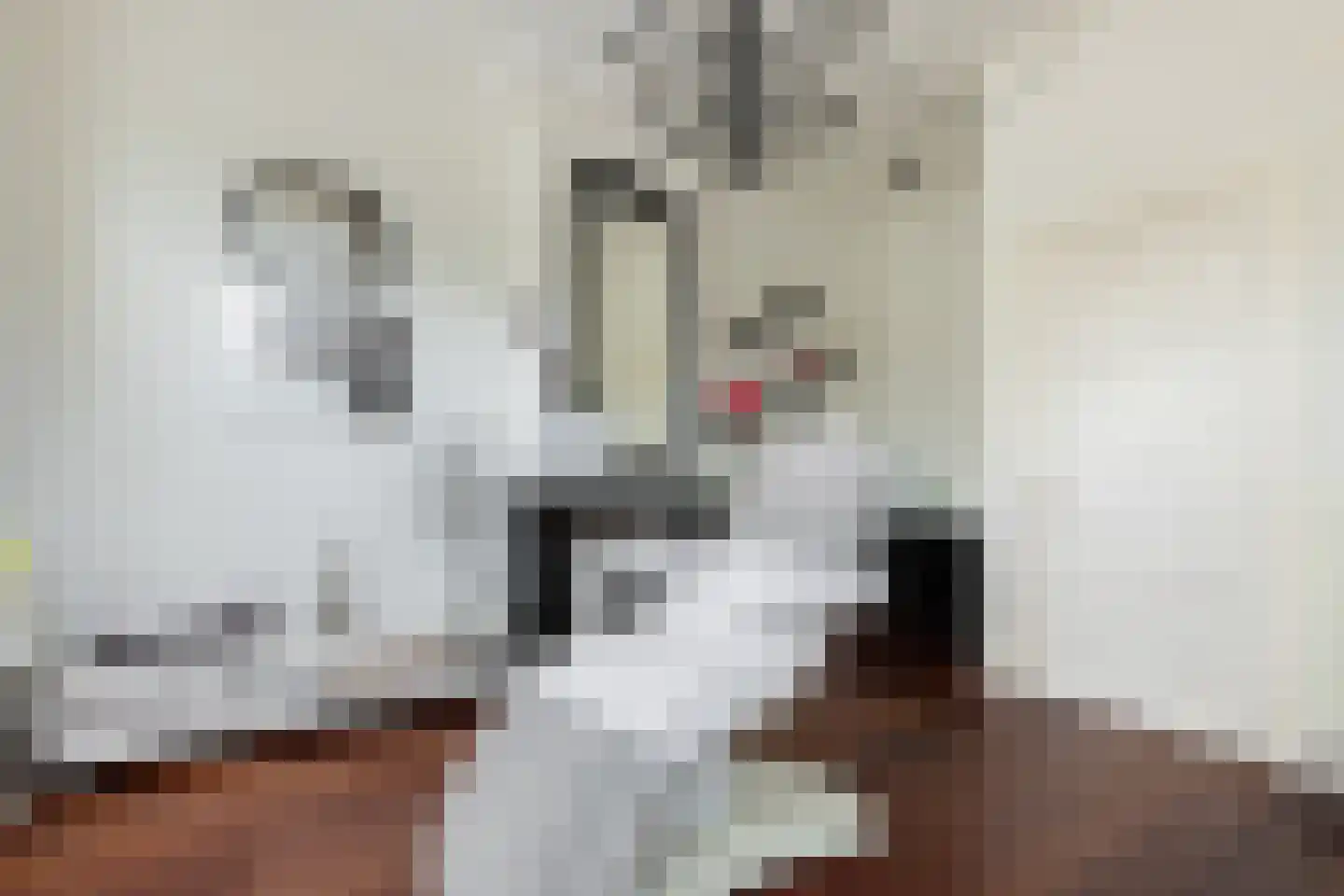 Dr. C. Hofstede de Grootkade 1 a Groningen thumbnail 36