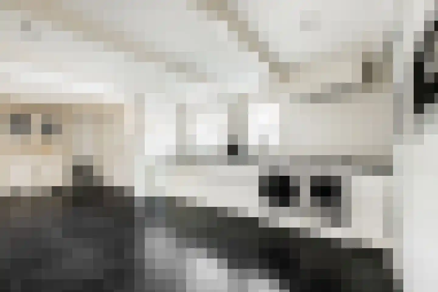 Dr. C. Hofstede de Grootkade 1 a Groningen thumbnail 39