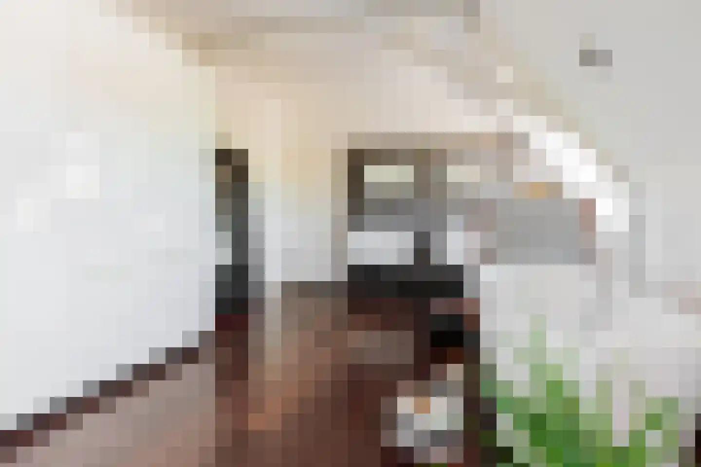 Dr. C. Hofstede de Grootkade 1 a Groningen thumbnail 47
