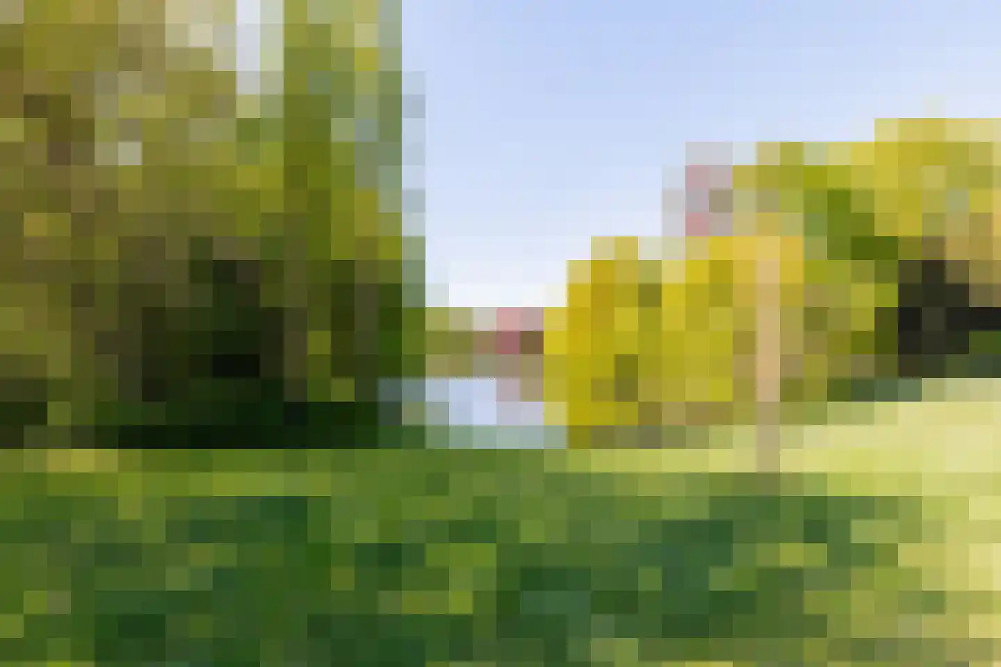 Dr. C. Hofstede de Grootkade 1 a Groningen thumbnail 57