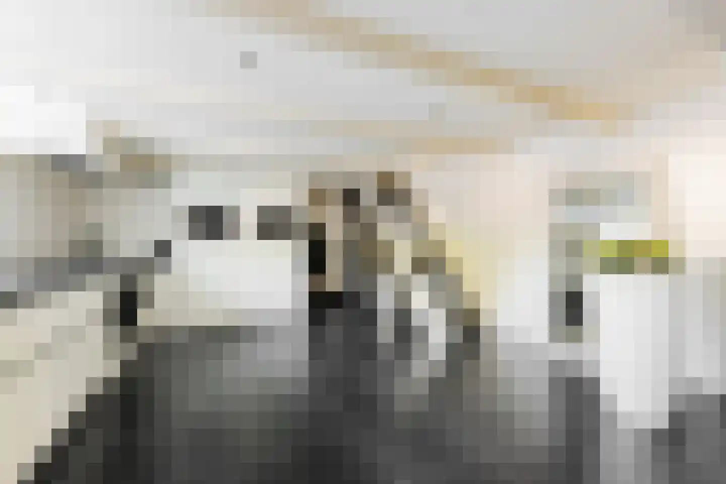 Dr. C. Hofstede de Grootkade 1 a Groningen thumbnail 9