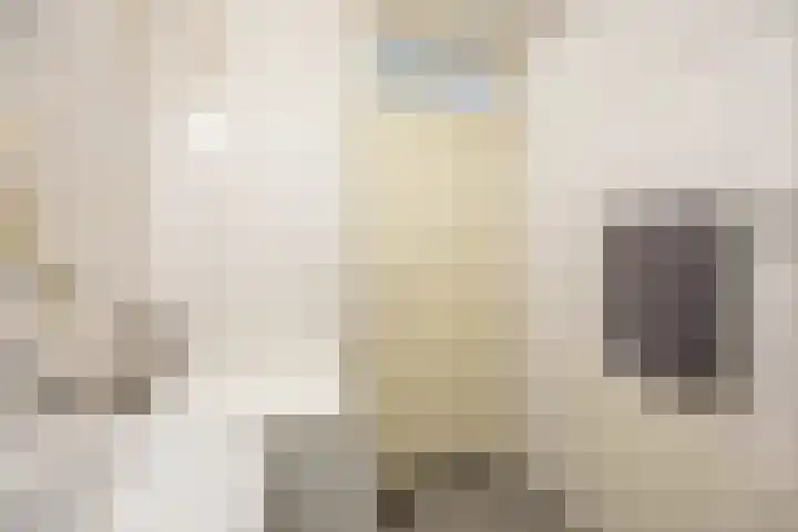 Dr. C. Hofstede de Grootkade 19 Groningen thumbnail 23