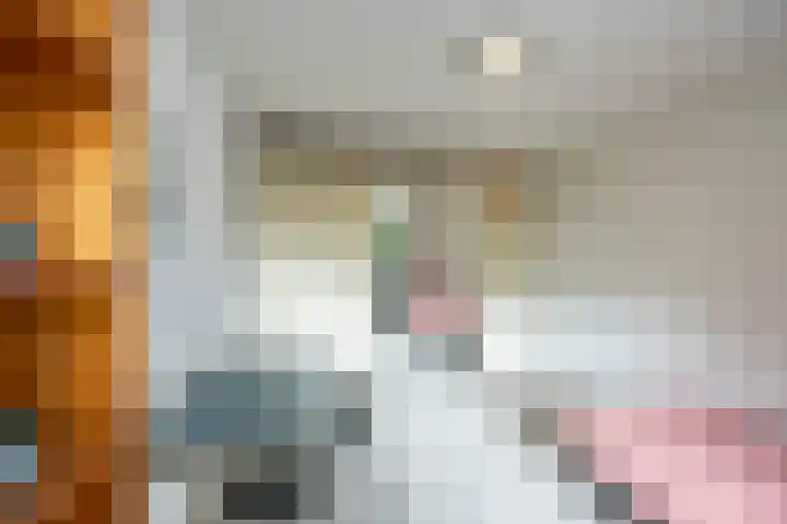 Dr. C. Hofstede de Grootkade 19 Groningen thumbnail 29