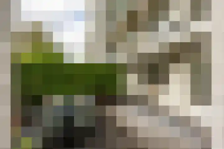 Dr. C. Hofstede de Grootkade 19 Groningen thumbnail 31