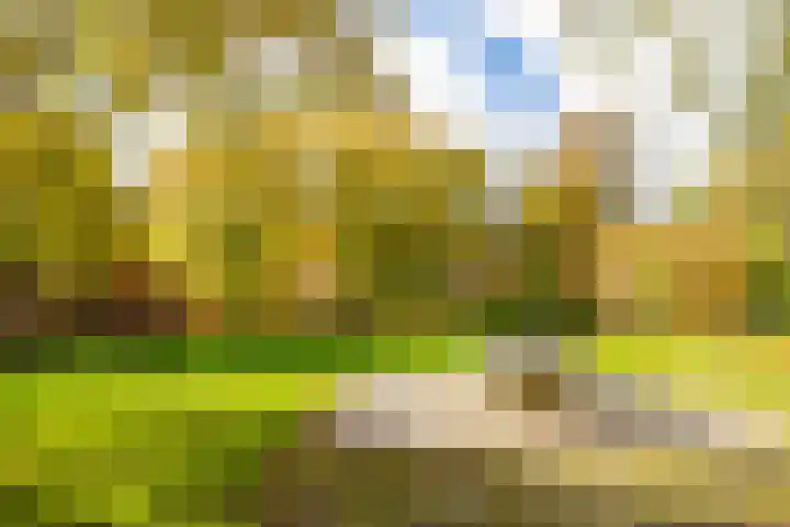 Dr. C. Hofstede de Grootkade 19 Groningen thumbnail 32