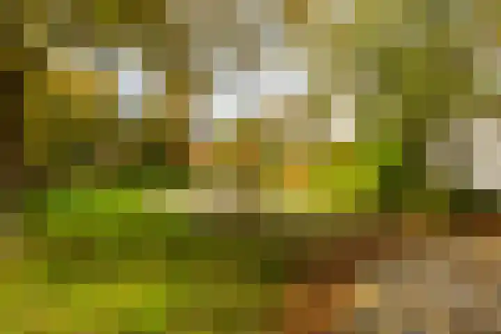 Dr. C. Hofstede de Grootkade 19 Groningen thumbnail 33