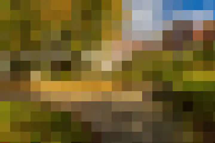 Dr. C. Hofstede de Grootkade 19 Groningen thumbnail 34