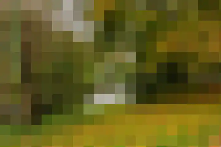 Dr. C. Hofstede de Grootkade 19 Groningen thumbnail 35