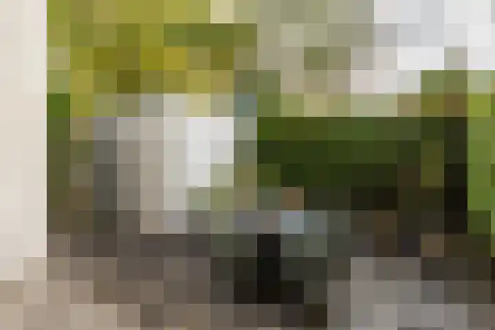 Dr. C. Hofstede de Grootkade 19 Groningen thumbnail 4