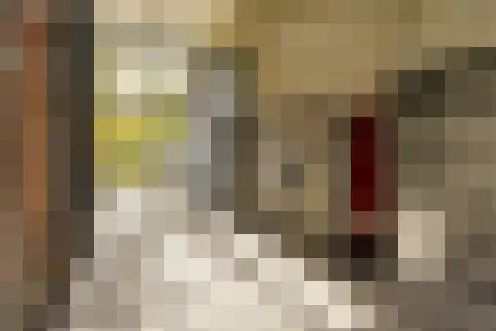 Dr. C. Hofstede de Grootkade 19 Groningen thumbnail 9