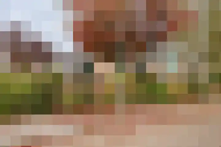 Dr. C.J.K. van Aalstweg 17 Hoorn foto 3