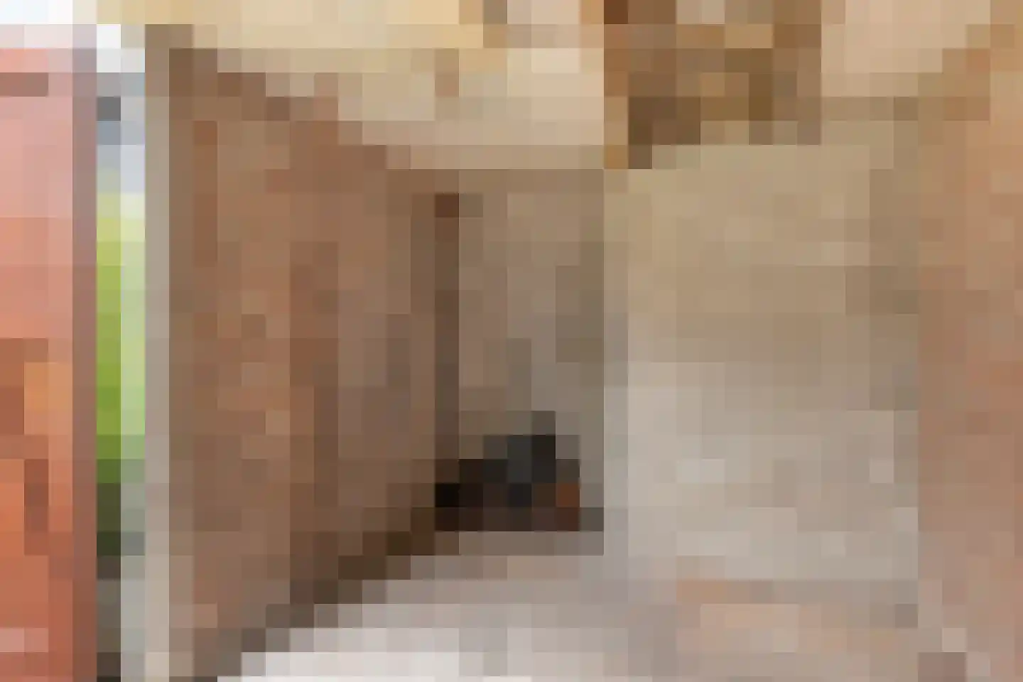 Dr. C.R. Hermansstraat 6 Best thumbnail 38
